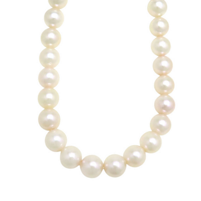 MIKIMOTO
アコヤ パール ネックレス