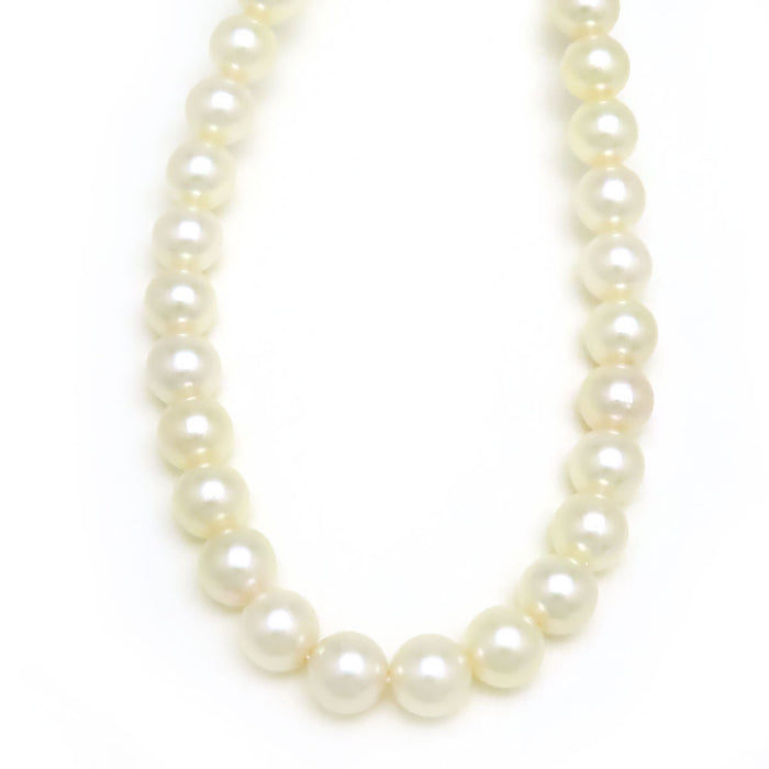 MIKIMOTO 
アコヤ パール ネックレス