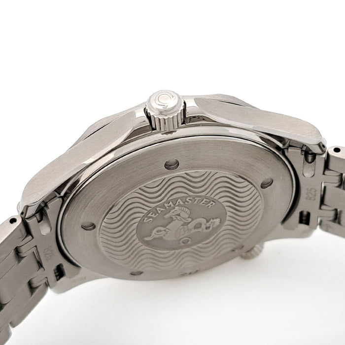 OMEGA Seamaster Professional 300M