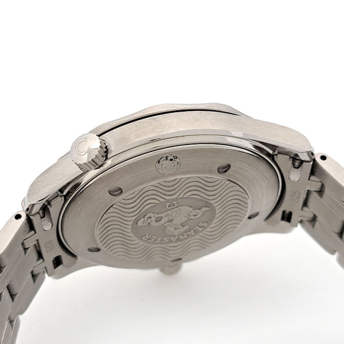 OMEGA Seamaster Professional 300M