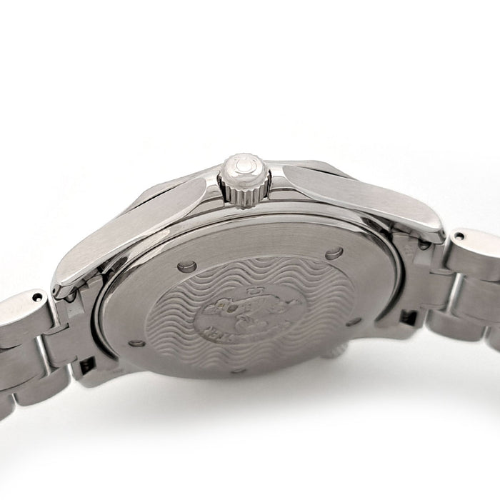 OMEGA 
シーマスター300　プロフェッショナル 
箱ギャラ付
