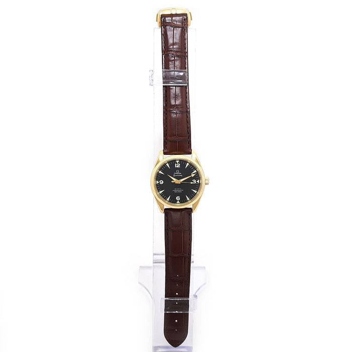 OMEGA 
Seamaster Railmaster 
Con scatola e garanzia