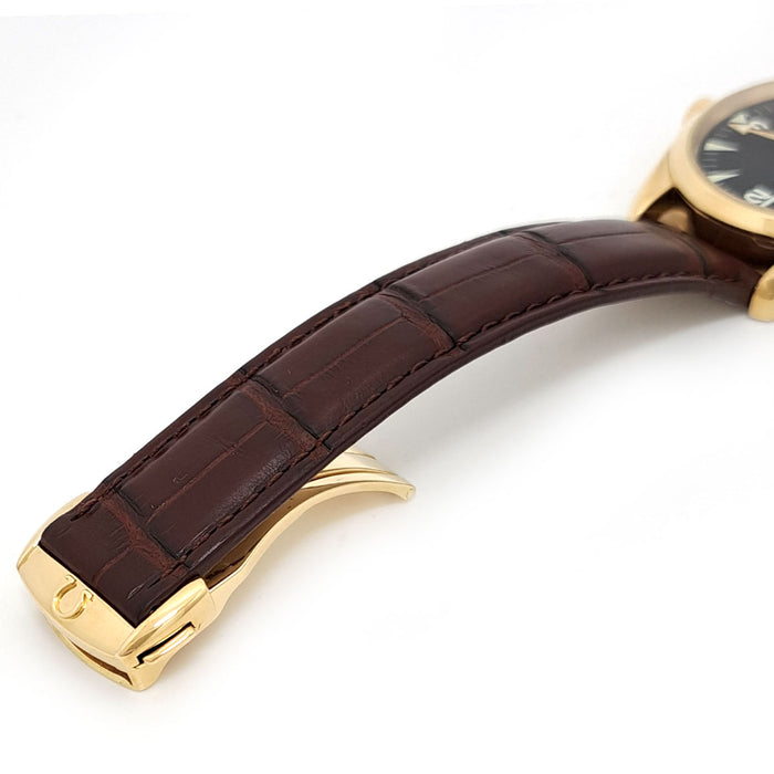 OMEGA 
Seamaster Railmaster 
Con scatola e garanzia