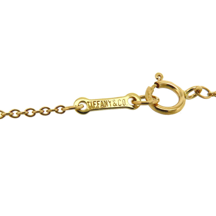 TIFFANY&Co. 
Apple Necklace
