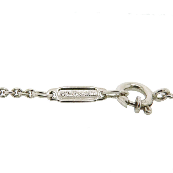TIFFANY&Co. 
1837 Double Bar Drop Necklace