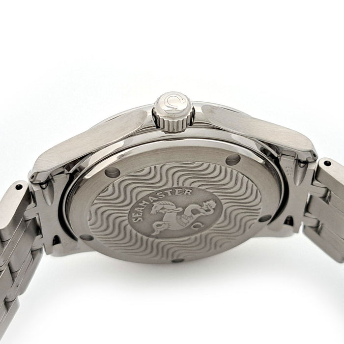 OMEGA 
Seamaster 120M Overhauled