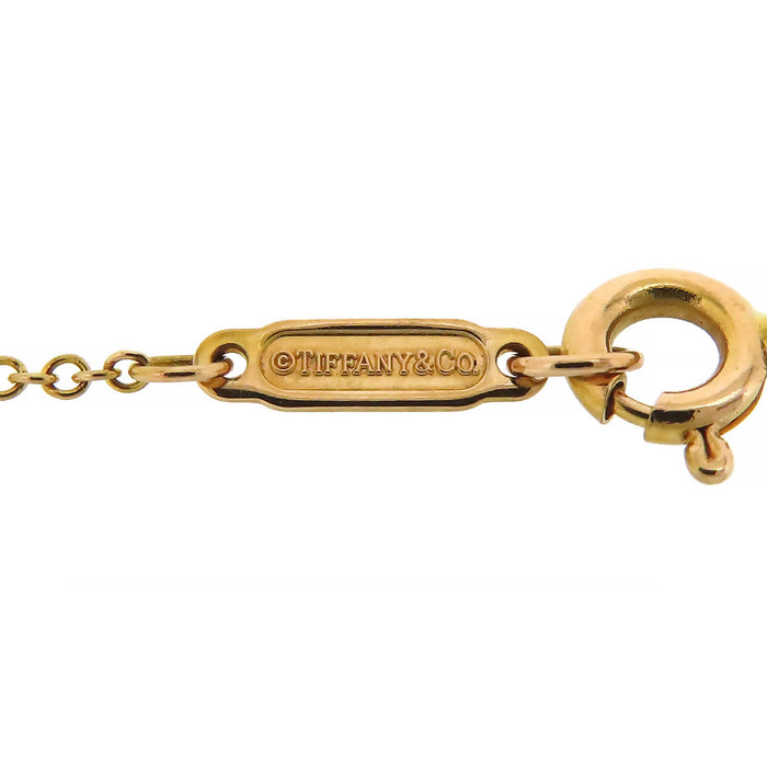 TIFFANY&Co. 
Atlas Pierced Circle Necklace