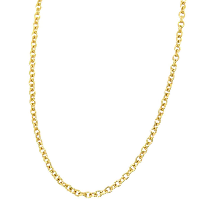 TIFFANY&Co. 
Chain Necklace