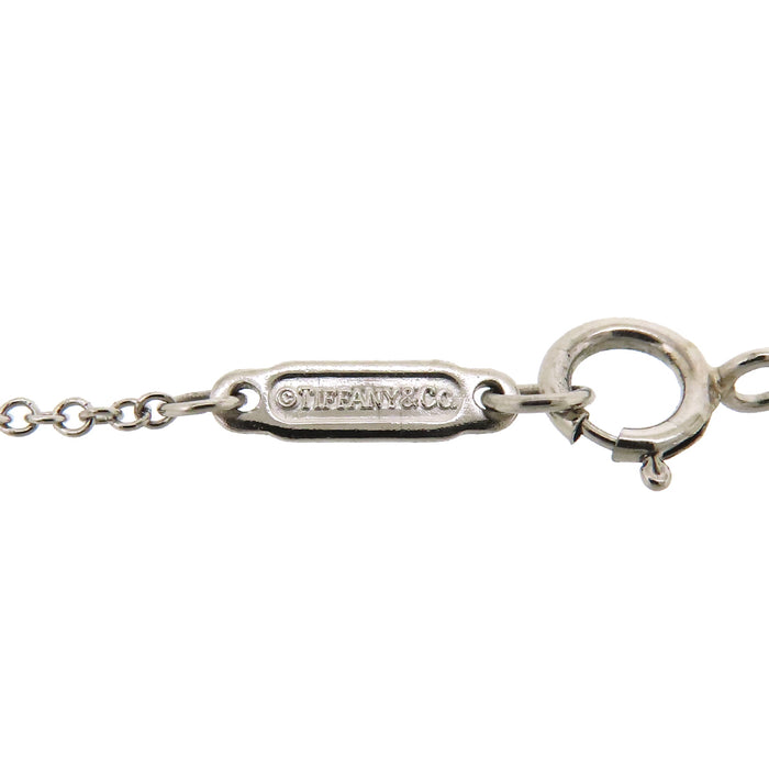 TIFFANY&Co. 
Circlet Necklace