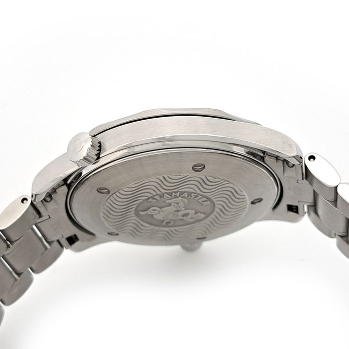 OMEGA 
シーマスター300 プロフェッショナル 
ギャラ付