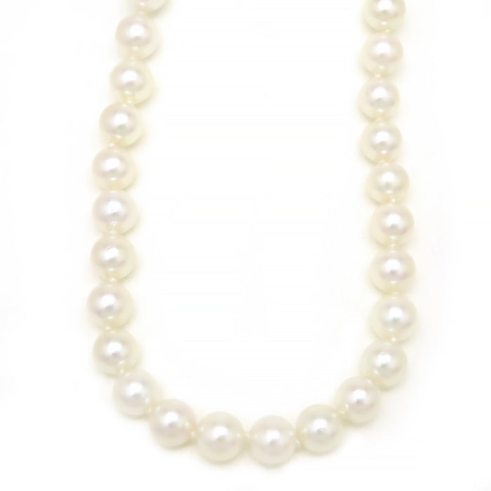 TIFFANY&Co. 
Signature Pearl Necklace