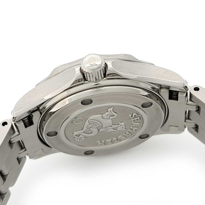 OMEGA 
シーマスター プロフェッショナル ダイヤモンドインデックス 
箱ギャラ付