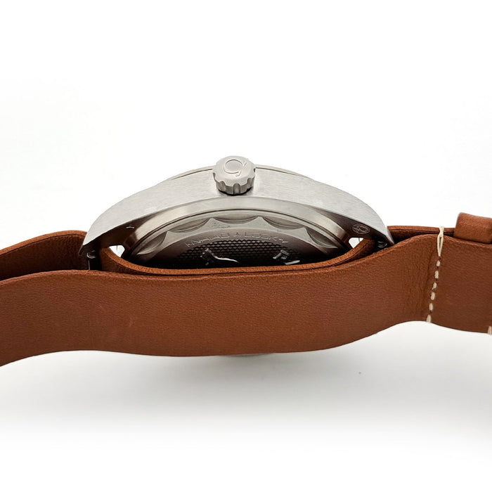 OMEGA 
シーマスター レイルマスター コーアクシャル マスター クロノメーター 40MM 
箱ギャラ付