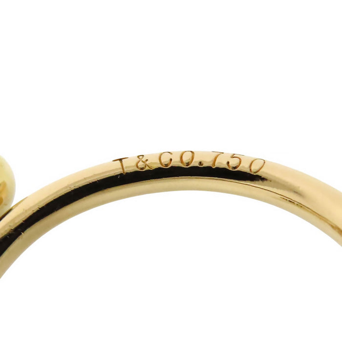 TIFFANY&Co. 
Double Hook Ring