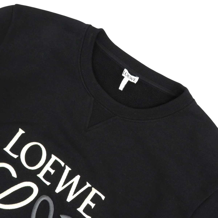 LOEWE
标志刺绣 棉
字母组合 刺绣 卫衣