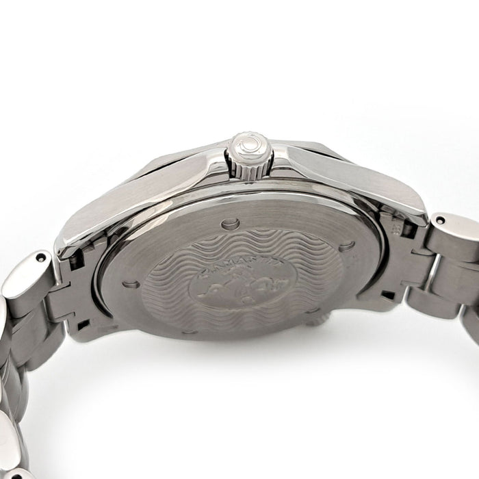 OMEGA 
Seamaster 300 Professional