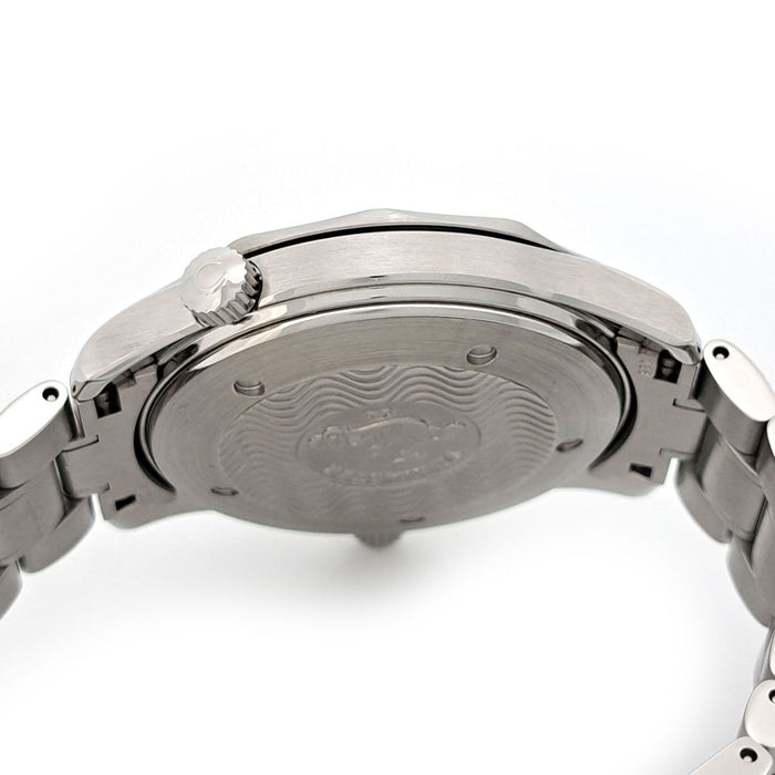 OMEGA 
Seamaster 300 Professional