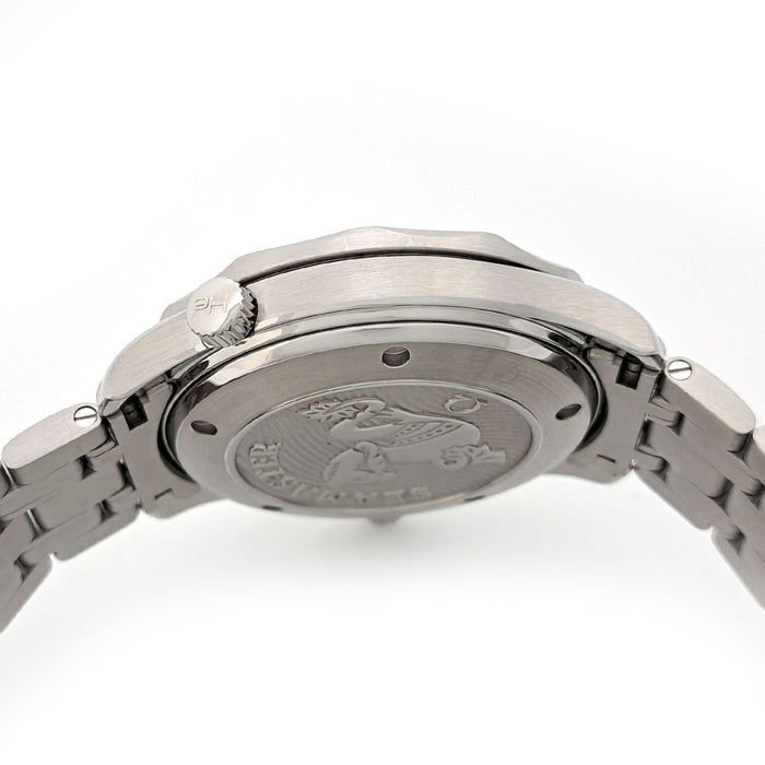 OMEGA 
Seamaster Diver 300M 
With box and warranty card