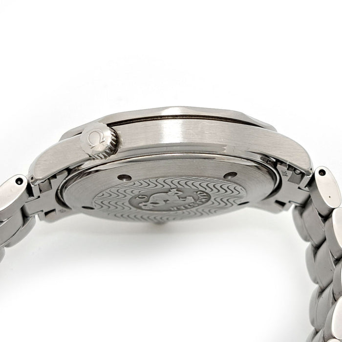 OMEGA 
海馬專業300