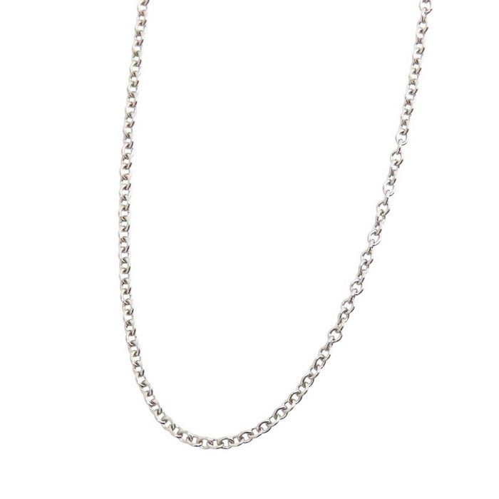 TIFFANY&Co. 
Chain Necklace Long