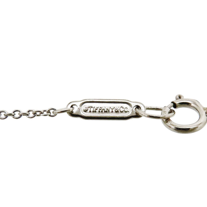 TIFFANY&Co. 
Chain Necklace Long