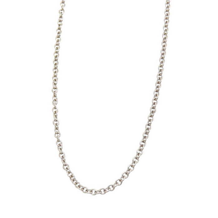 TIFFANY&Co. 
Chain Necklace