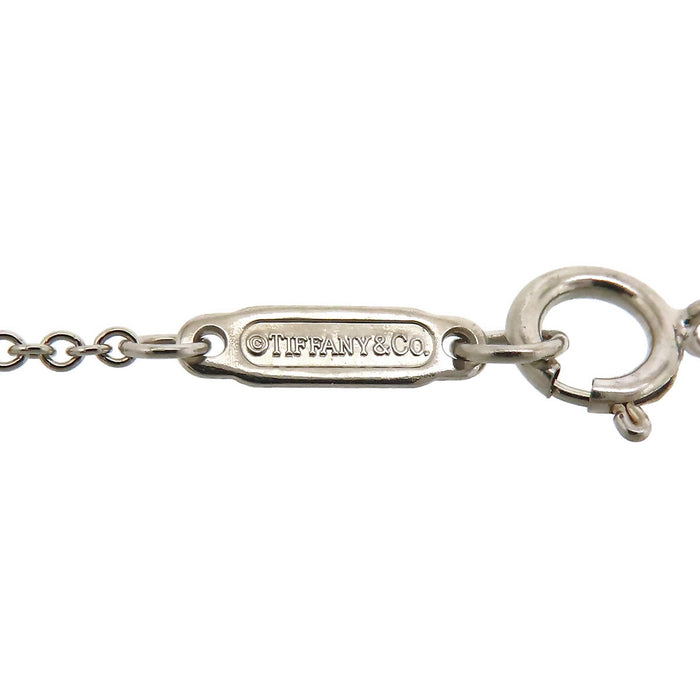 TIFFANY&Co. 
Chain Necklace