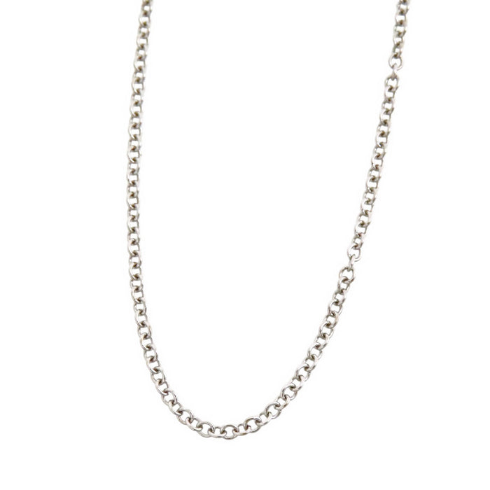 TIFFANY&Co. 
Chain Necklace