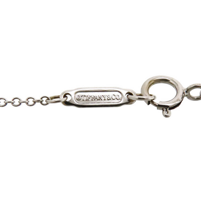 TIFFANY&Co. 
Chain Necklace