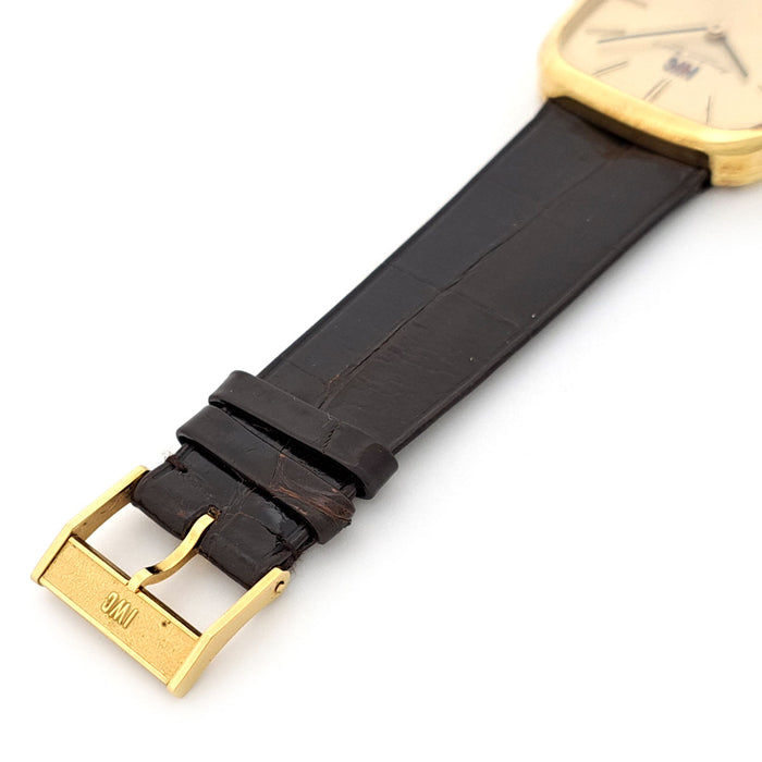 IWC  
Schaffhausen Ancien Inter Boîtier Coussin Cal.423  
Avec boîte