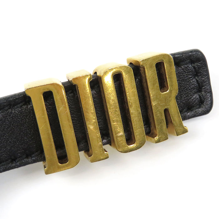 Dior Defense Logo Gold Color Metal Leather D-Fence Belt