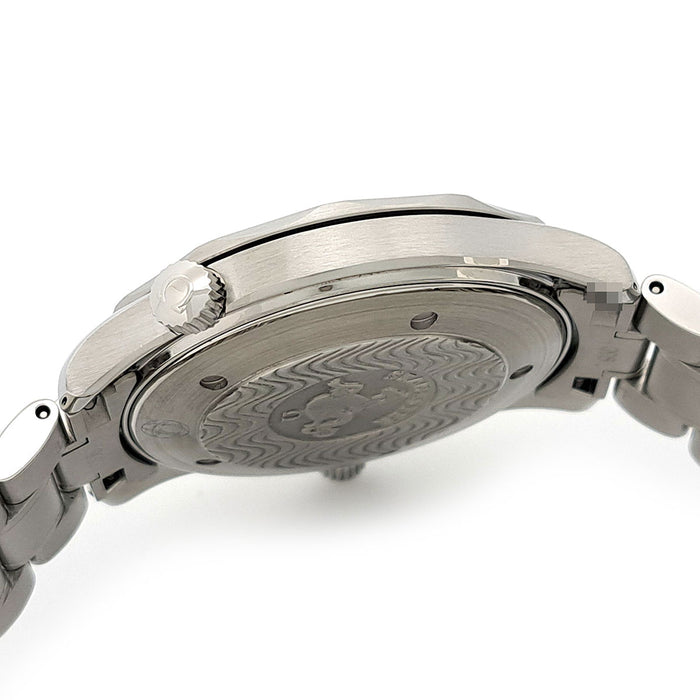 OMEGA  
Seamaster Professional  
With box and warranty card