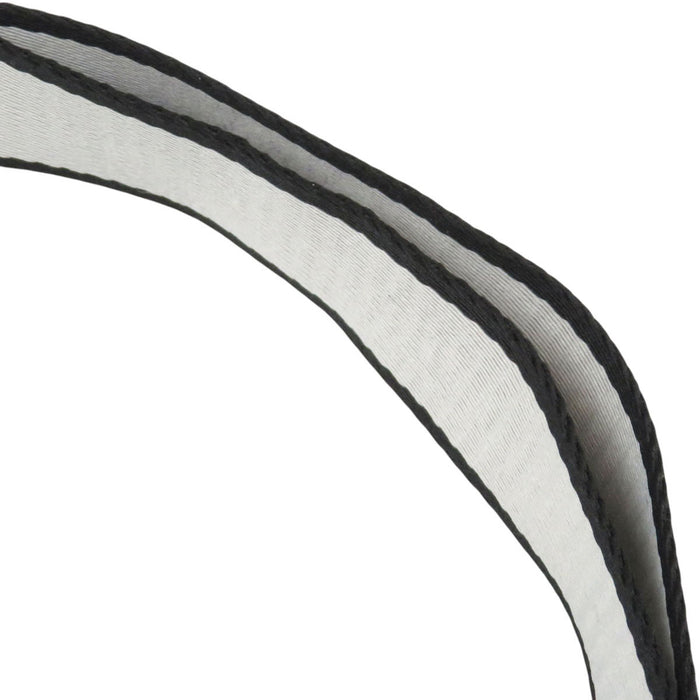 BALENCIAGA 
ロゴ ダブルリング 
D RING ベルト