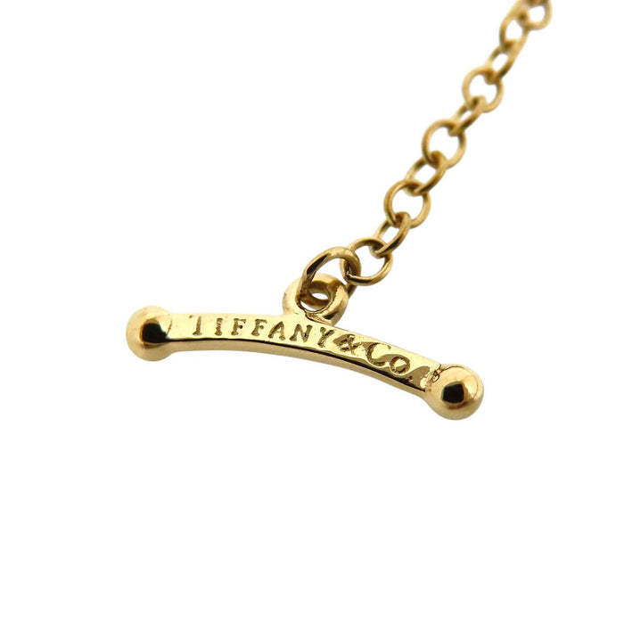 TIFFANY&Co. 
V-shaped Yard Sprinkle Necklace