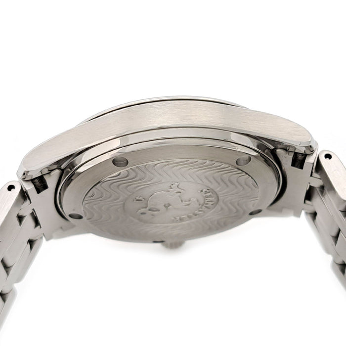 OMEGA 
Seamaster 120M Revisionato
