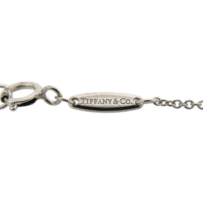 TIFFANY&Co.  
彩色比薩雅德項鍊