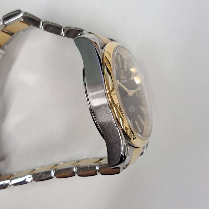 【WHOLESALES】
OMEGA 
231.20.39.21.06.002 
シーマスター 
保　ピクトグラム