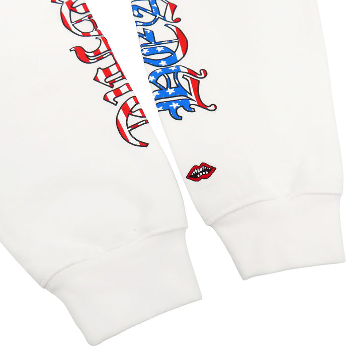 CHROME HEARTS 
マッティボーイコラボ CH スクロールラベル 星条旗 スウェット ワッペン プリント コットン 
MATTY BOY AMERICA HOODIE パーカー