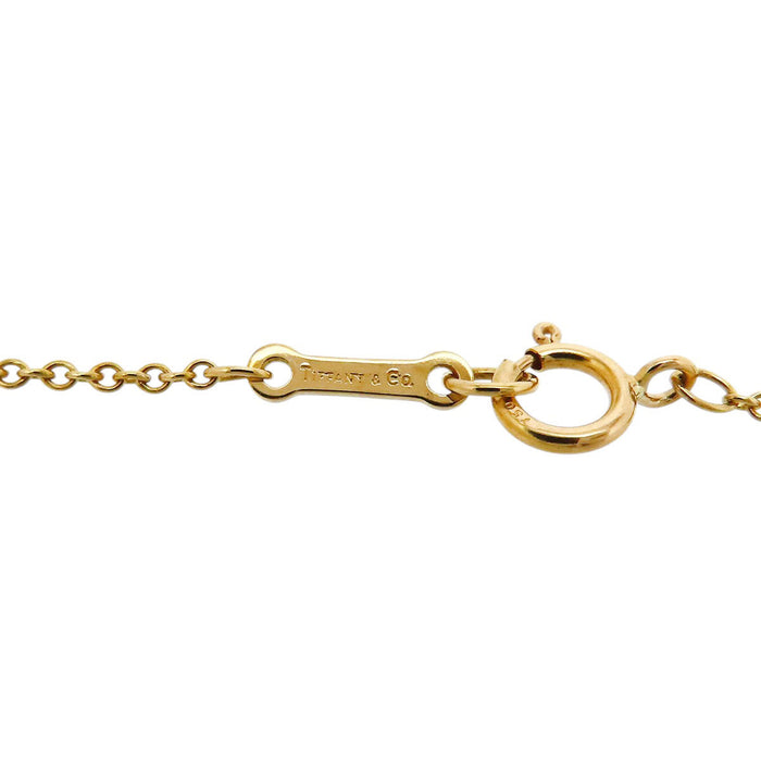 TIFFANY&Co.  
水滴形項鍊