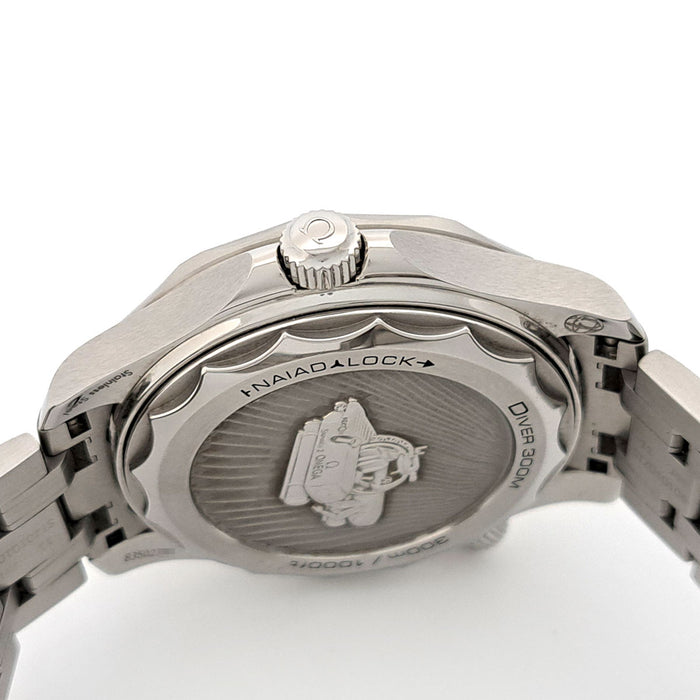 OMEGA 
シーマスター ダイバー NEKTON 
箱ギャラ付