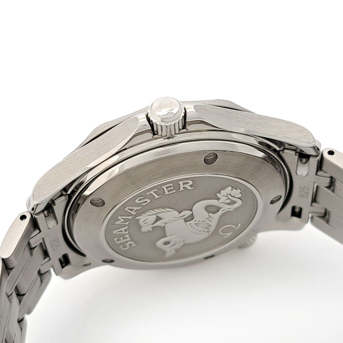 OMEGA 
シーマスター ダイバー 300 コーアクシャル 
箱ギャラ付