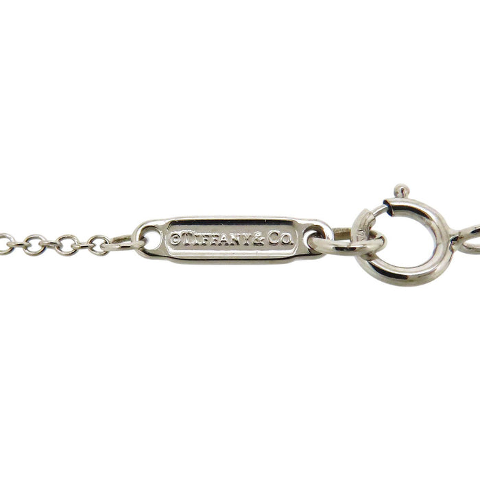 TIFFANY&Co. 
アトラス オープン メダリオン ネックレス