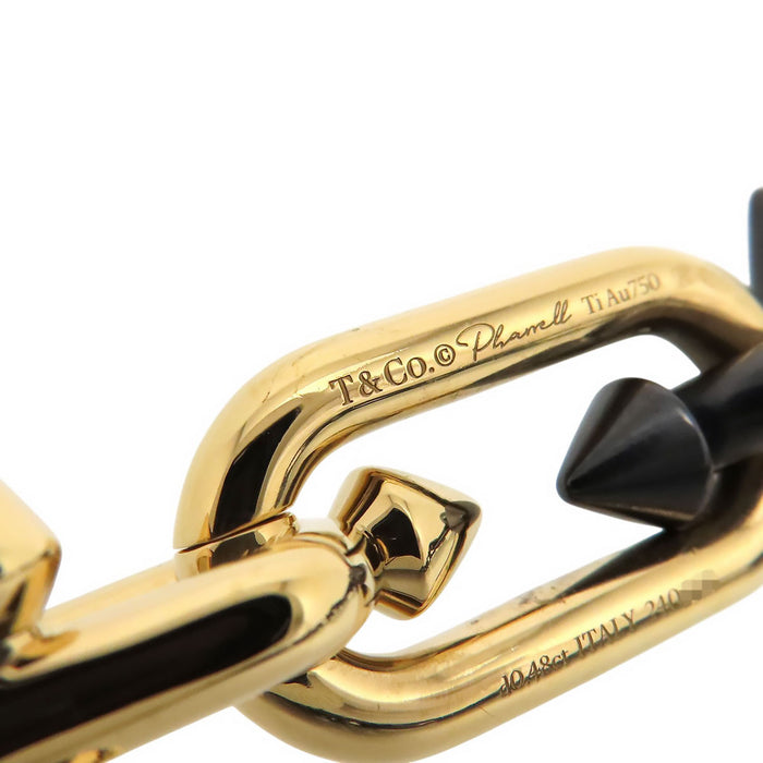 TIFFANY&Co. 
タイタン by ファレル ウィリアムス ネックレス