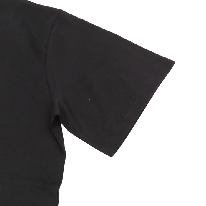 LOUIS VUITTON 
RM252MV NPG HTY08W ロゴ コットン 
イリデセント LV バーズ Tシャツ