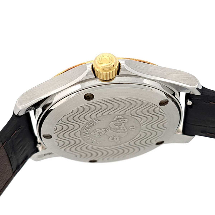 OMEGA 
Seamaster 120 Automatic