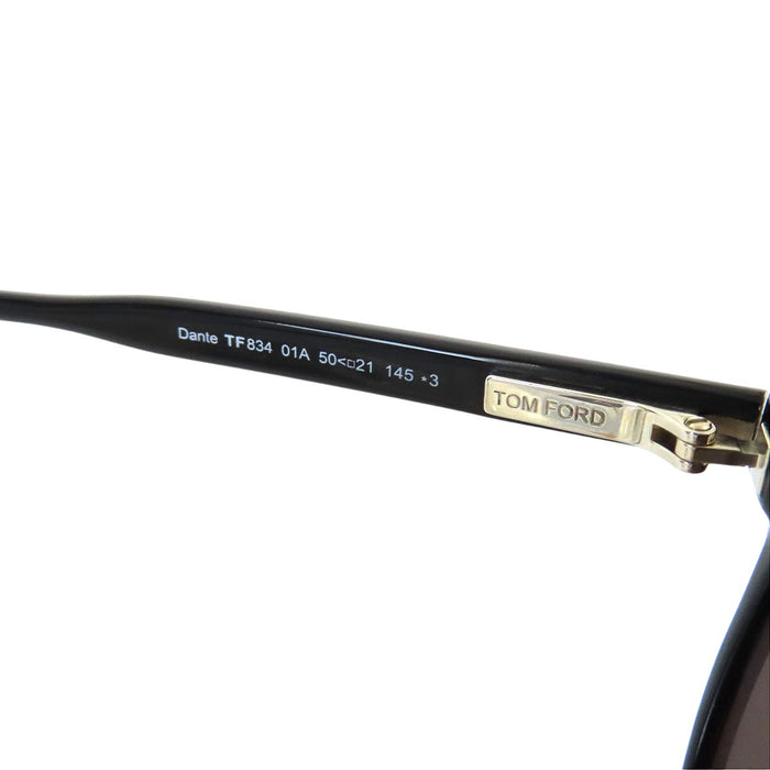 TOM FORD 
ダンテ 01A アイウェア 
Dante サングラス