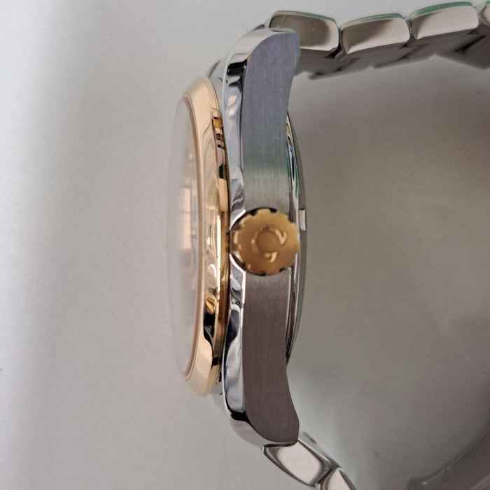 【WHOLESALES】
OMEGA 
231.20.39.21.06.003 
ギャランティ　ピクトグラム