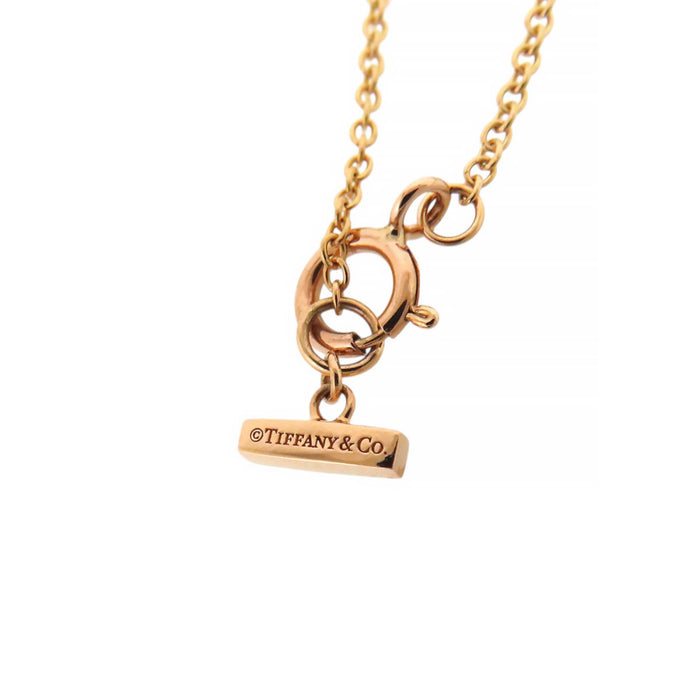 TIFFANY&Co. 
T Circle Necklace