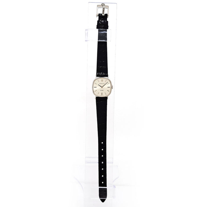 ROLEX 
オーキッド 
箱ギャラ付