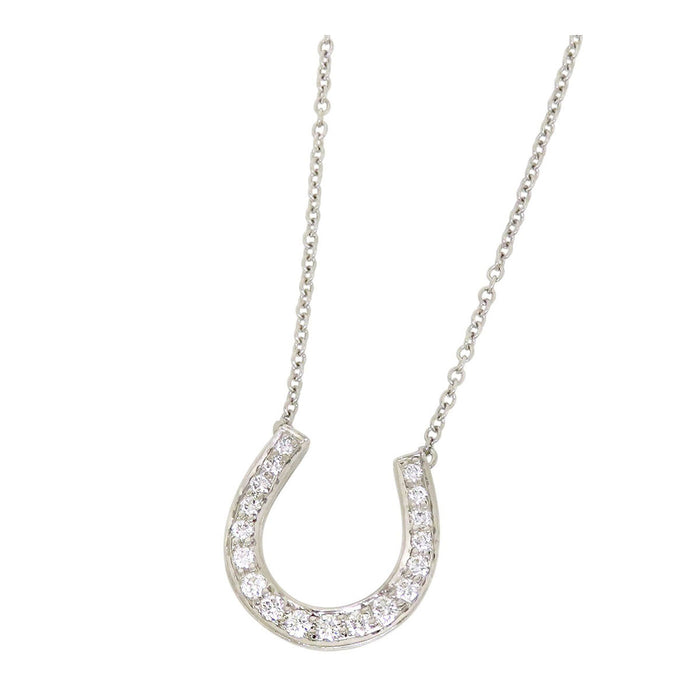 TIFFANY&Co. 
Horseshoe necklace